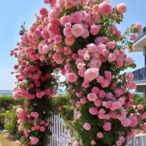 Роза Пастель Розе купить по цене от 605р. в интернет-магазине «Посадика» с доставкой почтой в в Пласте и по всей России – [изображение №1].